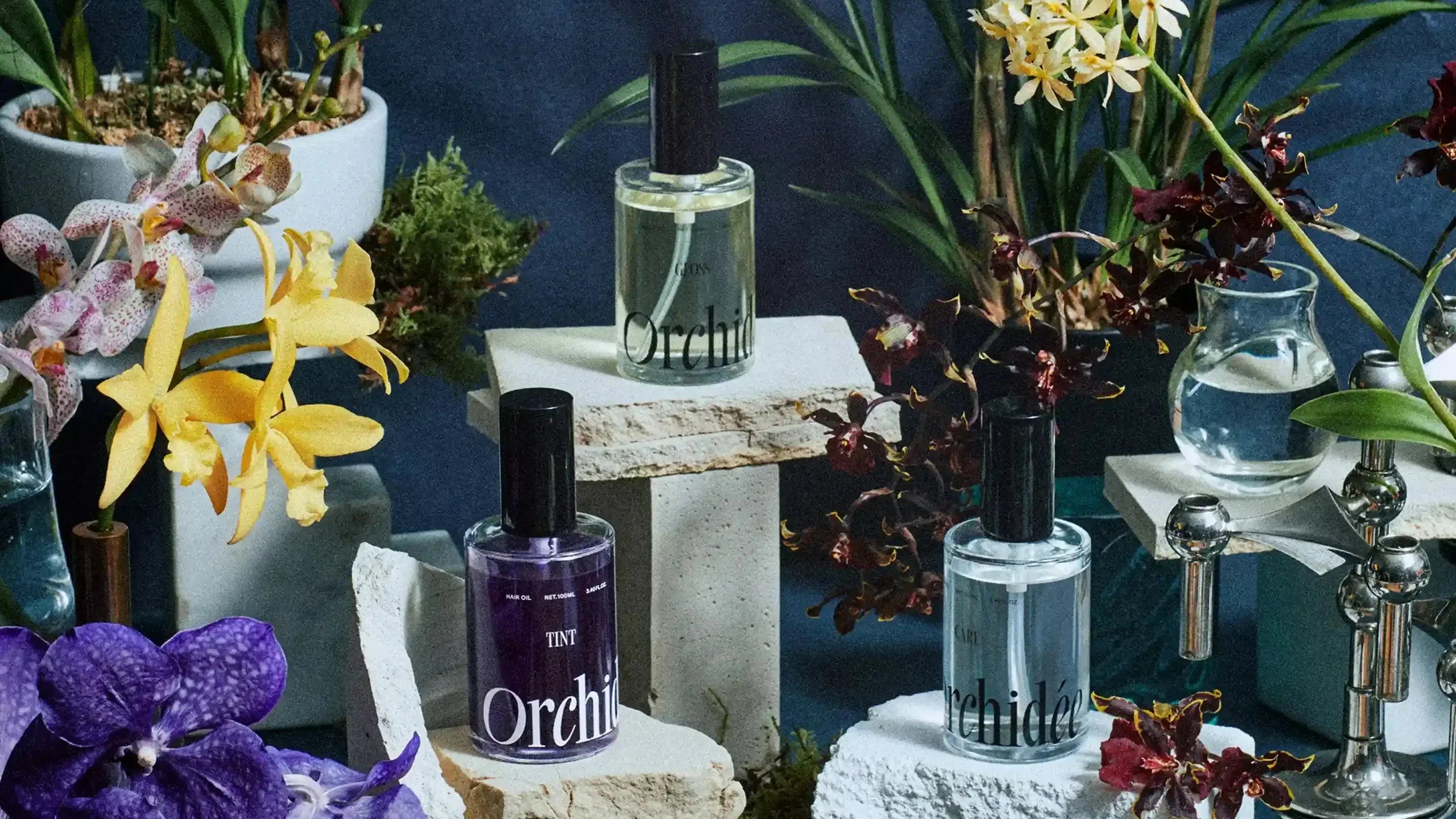 メゾン オルキデ ヘアオイル完全ガイド|ケア・グロス・ティントの違いと選び方【Maison Orchidée 正規取扱店】